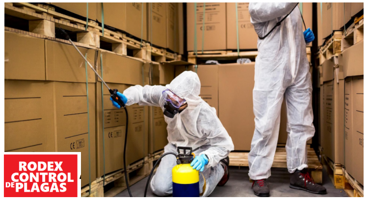 rodex cdmx