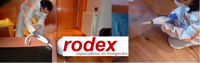 RODEX MEXICO