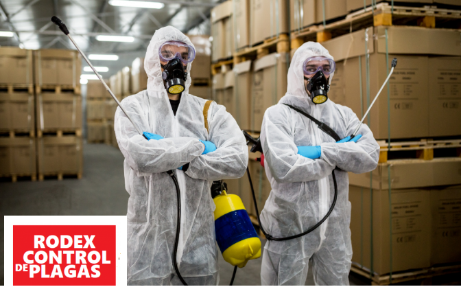 RODEX SAN JERONIMO LIDICE CONTROL DE PLAGAS