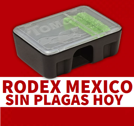RODEX LOMAS DE CHAPULTEPEC