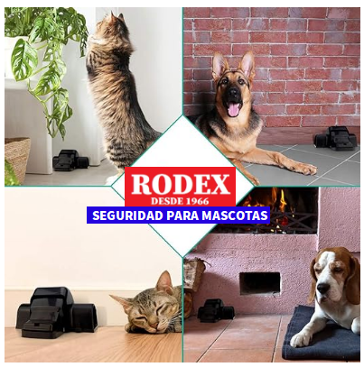 RODEX